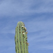 P1150456