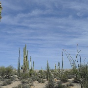 P1150457