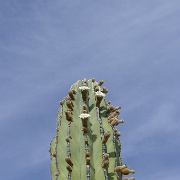 P1150458
