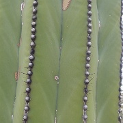 P1150462