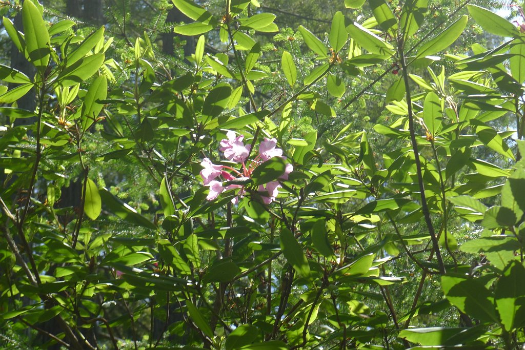 P1150802