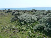 P1150600