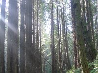 P1150706