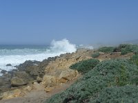P1150749