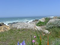 P1150750