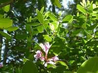 P1150804