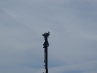 P1150969