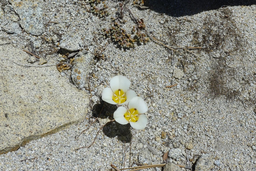 P1160895