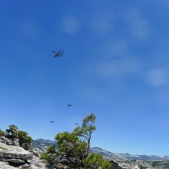 P1160886