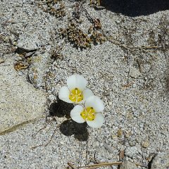 P1160895