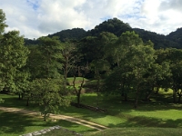 IMG 3010