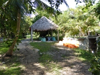 P1000224