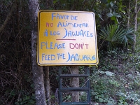 P1000241