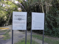 P1000254