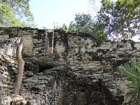 P1000271