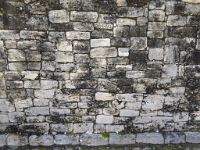 P1000285