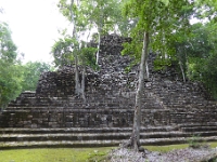 P1000305
