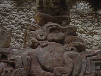 P1000313