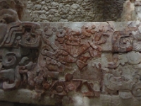 P1000314