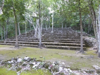 P1000319
