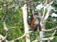 P1000333