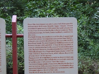 P1000334
