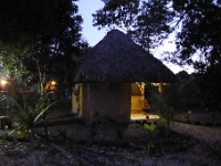 P1000363