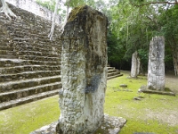 P1000383