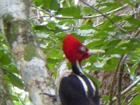 P1000413