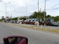 P1000415