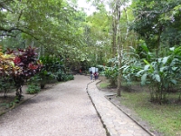 P1000437