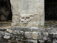 P1000451
