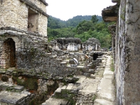 P1000479