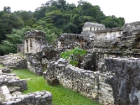 P1000506