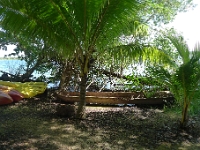 P1190909