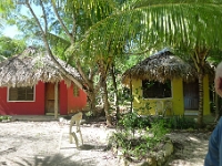 P1190911