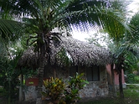 P1190924