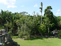 P1190953