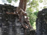 P1190955