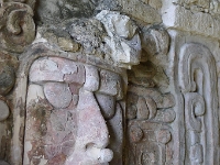 P1190975
