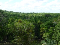 P1190979