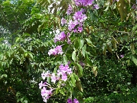 P1190984