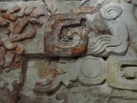 P1190994