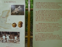 P1200042