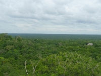 P1200062