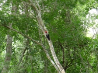P1200085
