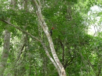P1200086