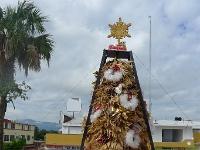 P1200092