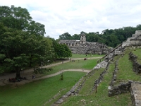 P1200096