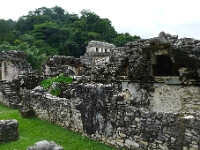 P1200119